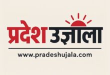 31 जुलाई को आयोजित होगी शिक्षकीय समीक्षा बैठक, सभी बीईओ, प्राचार्यों की उपस्थिति अनिवार्य परीक्षा परिणाम, शिक्षा गुणवत्ता और नवाचारों पर होगी समीक्षा