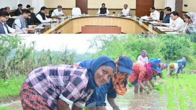 सरकार के नीतिगत फैसलों ने बढ़ाया छत्तीसगढ़ के किसानों का मान