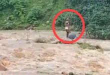 मैनपाट के कदनाई स्थित घुनघुट्टा नदी में अचानक आई बाढ़,अपने गांव से दूसरे गांव नदी पर गया था बुजुर्ग नदी के तेज बहाव में फसा,तस्वीर देख लोगों का दहल गया दिल
