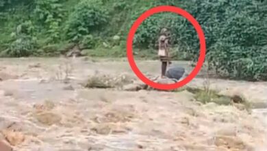 मैनपाट के कदनाई स्थित घुनघुट्टा नदी में अचानक आई बाढ़,अपने गांव से दूसरे गांव नदी पर गया था बुजुर्ग नदी के तेज बहाव में फसा,तस्वीर देख लोगों का दहल गया दिल