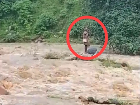 मैनपाट के कदनाई स्थित घुनघुट्टा नदी में अचानक आई बाढ़,अपने गांव से दूसरे गांव नदी पर गया था बुजुर्ग नदी के तेज बहाव में फसा,तस्वीर देख लोगों का दहल गया दिल