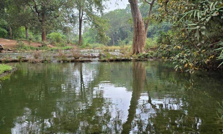बारिश में बस्तर के प्राकृतिक सौंदर्य का अनुपम नजारा