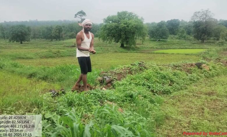 इको पर्यटन के साथ कृषि पर्यटन को जोड़ने वन विभाग की पहल इको पर्यटन के साथ कृषि पर्यटन को जोड़ने वन विभाग की पहल