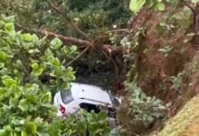 मैनपाठ पर्यटन स्थल मेहता पॉइंट के पास खाई में गिरी तेज रफ्तार कार