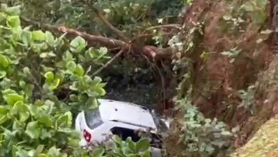 मैनपाठ पर्यटन स्थल मेहता पॉइंट के पास खाई में गिरी तेज रफ्तार कार