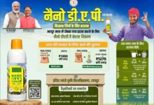 CG NEWS: छत्तीसगढ़ सरकार ने डीएपी की कमी के मद्देनज़र वैकल्पिक उर्वरकों की व्यवस्था की, नैनो डीएपी के भंडारण एवं वितरण की विशेष तैयारी की…