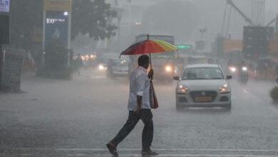 रायपुर : प्रदेश में अब तक 320.1 मि.मी. औसत वर्षा दर्ज