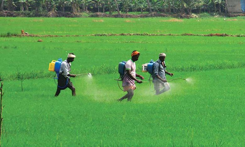 छत्तीसगढ़ में रासायनिक खाद पर्याप्त, किसानों को नैनो खाद के उपयोग के लिए किया जा रहा जागरूक छत्तीसगढ़ में रासायनिक खाद पर्याप्त, किसानों को नैनो खाद के उपयोग के लिए किया जा रहा जागरूक
