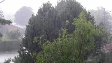 Chhattisgarh Rainfall Update: छत्तीसगढ़ में अब तक 631.2 मि.मी. औसत वर्षा दर्ज, जाने आपके जिले में अबतक कितनी हुई वर्षा     