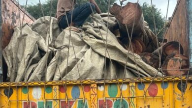 “हरियाली पर हमला” — सीतापुर में लकड़ी तस्करों का गिरोह बेखौफ, पुलिस ने जब्त किया 30 टन लकड़ी से भरा ट्रक