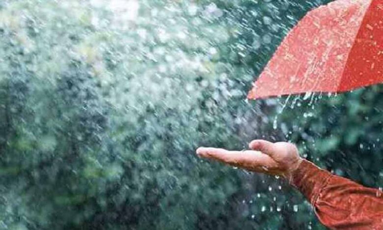 प्रदेश में अब तक 689.9 मिमी औसत बारिश, मौसम विभाग ने जारी किया नया आंकड़ा प्रदेश में अब तक 689.9 मिमी औसत बारिश, मौसम विभाग ने जारी किया नया आंकड़ा