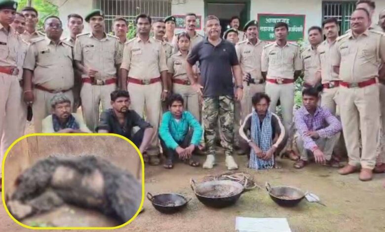 बिजली तार से भालू की मौत, पुलिस ने 5 आरोपियों को पकड़ा, 1 अब भी फरार बिजली तार से भालू की मौत, पुलिस ने 5 आरोपियों को पकड़ा, 1 अब भी फरार