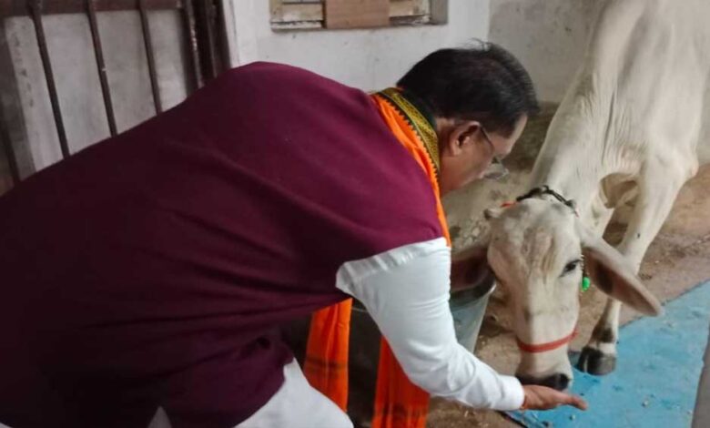 रायपुर : गौ-सेवा से ही मिलती है सच्ची शांति और ऊर्जा : मुख्यमंत्री विष्णु देव साय रायपुर : गौ-सेवा से ही मिलती है सच्ची शांति और ऊर्जा : मुख्यमंत्री विष्णु देव साय