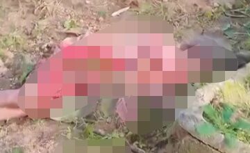 जशपुर ब्रेकिंग : जंगल में मशरूम तोड़ने गई महिला की हाथी के हमले में मौत