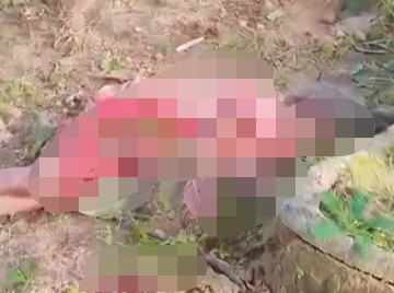जशपुर ब्रेकिंग : जंगल में मशरूम तोड़ने गई महिला की हाथी के हमले में मौत जशपुर ब्रेकिंग : जंगल में मशरूम तोड़ने गई महिला की हाथी के हमले में मौत