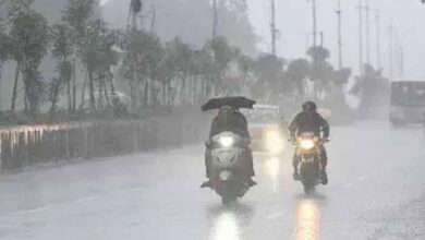 छत्तीसगढ़ में झमाझम बारिश का अलर्ट! अगले 3 घंटे तक कई जिलों में बरसेंगे बादल