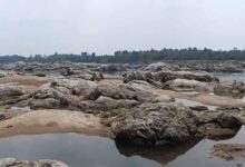 गायखुरी पत्थर की रंगोली: एक ऐसा इतिहास जो समय को थामकर रह गया!