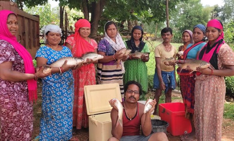 मछली पालन आय का उत्तम साधन: मुख्यमंत्री विष्णुदेव साय ने मछली पालन और महिलाओं के आर्थिक सशक्तिकरण के लिए उठाए कदम…. मछली पालन आय का उत्तम साधन: मुख्यमंत्री विष्णुदेव साय ने मछली पालन और महिलाओं के आर्थिक सशक्तिकरण के लिए उठाए कदम….