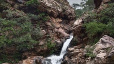 दमउदहरा: प्रकृति, आस्था और इतिहास का अद्भुत संगम…..