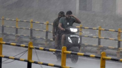 प्रदेश में अब तक 1210.4 मि.मी. औसत वर्षा दर्ज
