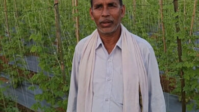 वैज्ञानिक पद्धति अपनाकर बड़ी कामयाबी हासिल की- नरेंद्र कुमार पटेल….