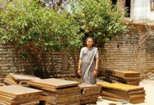 सेंट्रिंग प्लेट्स से मिला दी रश्मि के सपनों को सहारा: बिर्रा गांव की रश्मि अब 20 हजार महीने की कमाई से बनी आत्मनिर्भर महिला उद्यमी…..