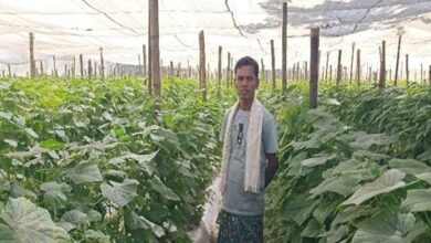 बंदूक की गूंज से फलों और फूलों की महक तक का सफर: बस्तर में साग-सब्जी, फलों की खेती से चमत्कारिक बदलाव….