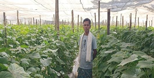 बंदूक की गूंज से फलों और फूलों की महक तक का सफर: बस्तर में साग-सब्जी, फलों की खेती से चमत्कारिक बदलाव….